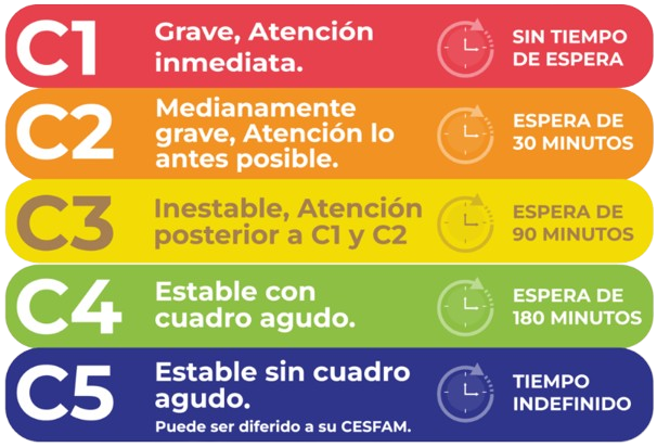 Tabla de categorías SAPU